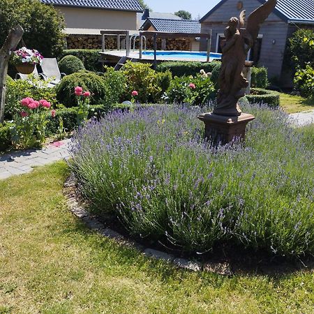 Braunlauf B&B Oase المظهر الخارجي الصورة